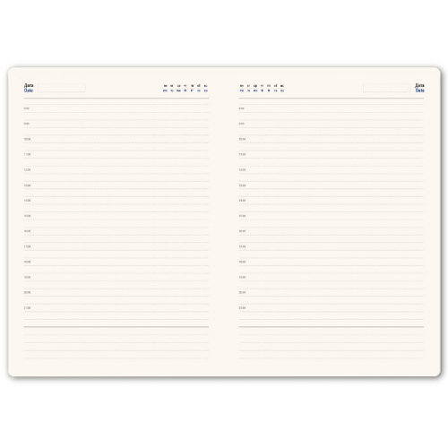 Ежедневник недатированный STELLAR, формат А5 (белый, серый)