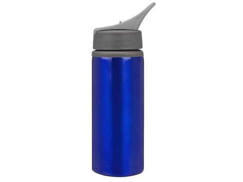 Бутылка для воды Rino 660 мл, синий