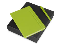 Подарочный набор Vision Pro soft-touch с ручкой и блокнотом А5, зеленый