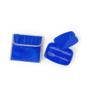 Набор: термосумка и ланч-бокс с приборами PARLIK (синий)